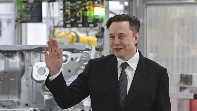Elon Musk. (Patrick Pleul/Pool via AP, File)