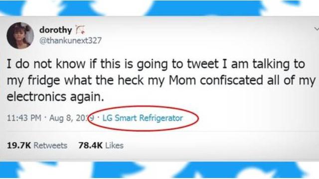 Tweet Dorothy. Twitter/@thankunext327