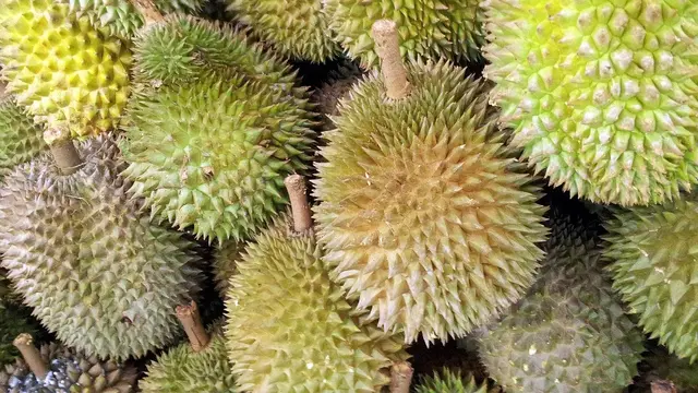 Buah durian