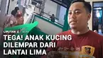 Seorang pria melempar seekor anak kucing dari lantai lima Rusunawa Brantas, Probolinggo, Jawa Timur, hingga tewas. Geram dengan perbuatan keji itu, pemilik hewan telah melaporkan ke polisi.
