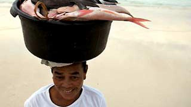 Tanpa Pesisir, Begini Indahnya Pantai Apparalang di Bulukumba