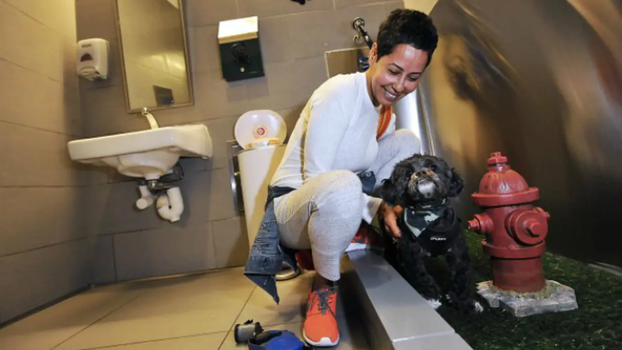 Bandara Ini Sediakan Toilet Khusus Untuk Anjing