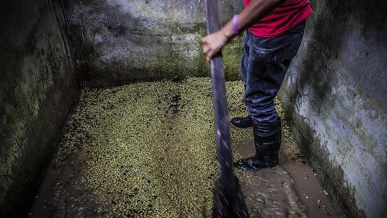 Sungai tercemar limbah tahu, puluhan warga Pamekasan gatal-gatal