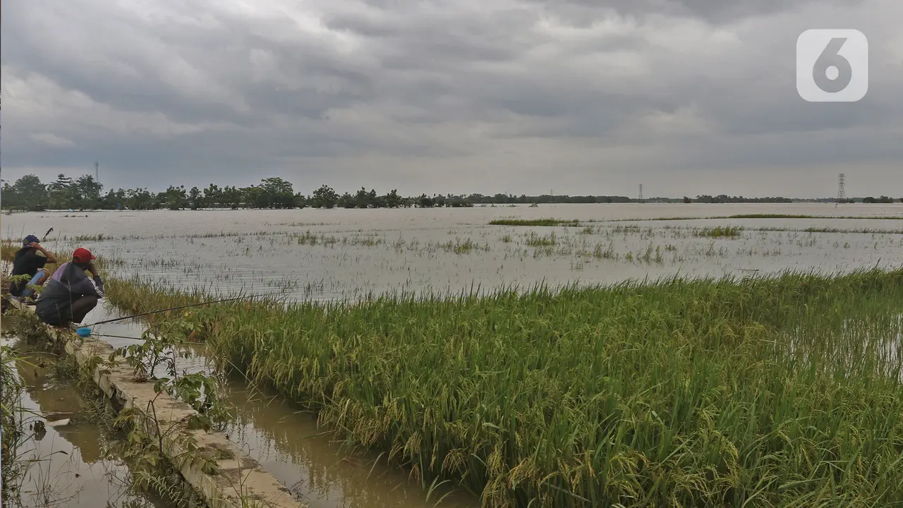 Banjir di Desa Karangligar Karawang