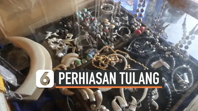 VIDEO: Perhiasan Unik yang Terbuat dari Tulang Hewan