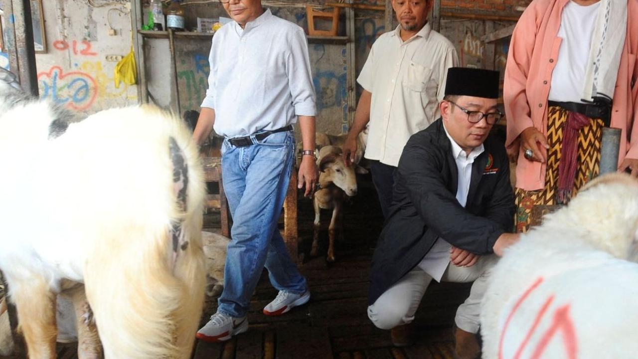 Bakal calon Gubernur DKI Jakarta, Ridwan Kamil, menemui Himpunan Pedagang Kambing Tanah Abang dan sejumlah tokoh masyarakat setempat di Pasar Kambing, Tanah Abang, Jakarta Pusat, Minggu (15/9/2024). Foto: merdeka.com / Arie Basuki