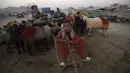 Pedagang duduk dengan hewan ternak yang dijual jelang Hari Raya Idul Adha di Kabul, Afghanistan, Senin (27/7/2020). Idul Adha memperingati kisah Nabi Ibrahim atas kesediaan untuk mengorbankan putranya sebagai kepatuhan kepada Tuhan. (AP Photo/Rahmat Gul)
