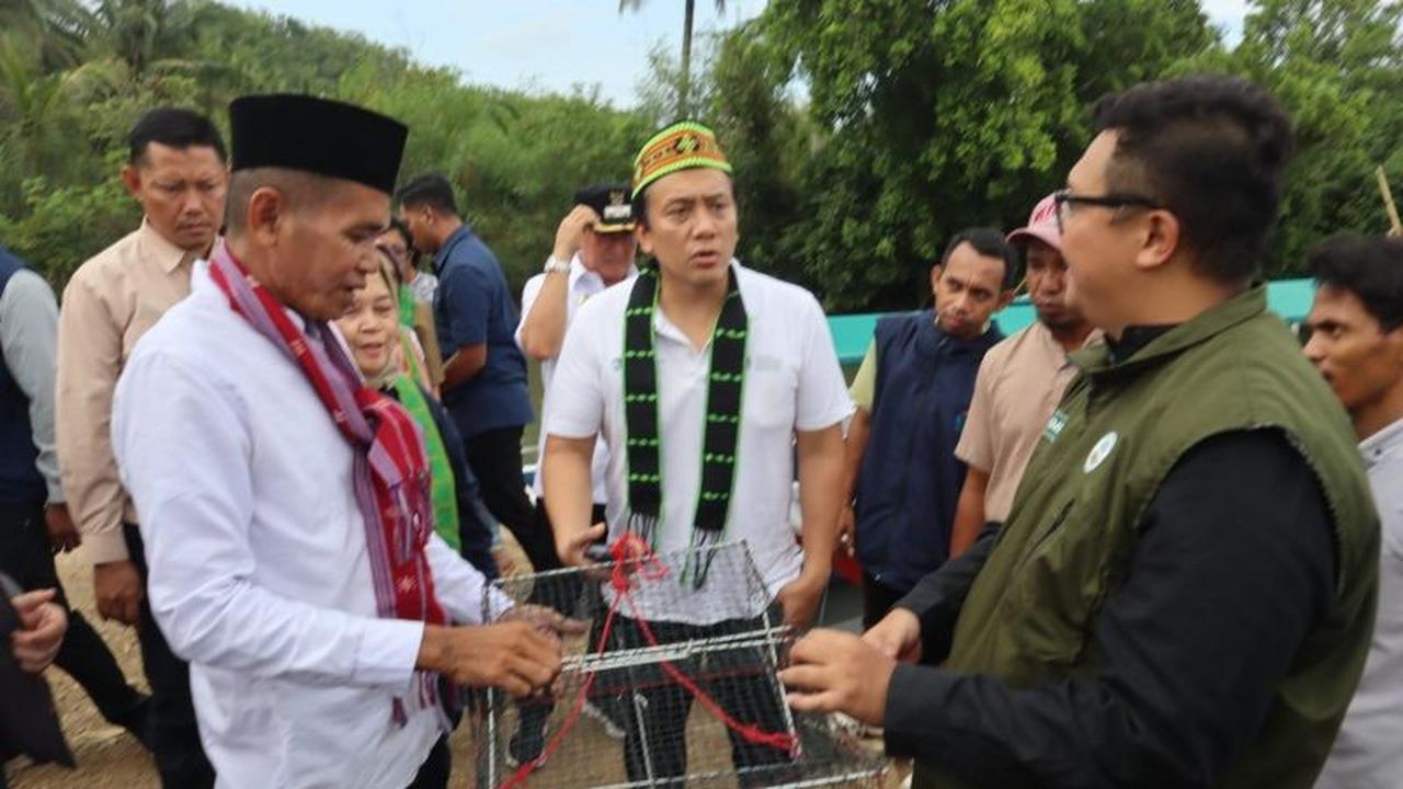 Pemkab Mabar Harap Pengembangan Program DMPM Mangrove Meluas ke Lebih Banyak Desa