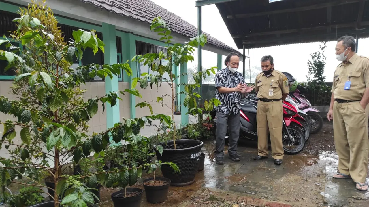 Sekolah Kopi SMPN 4 Pagentan, Banjarnegara, Jawa Tengah. (Foto: Liputan6.com/Heni Purwono)