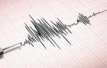 Analisis BMKG Gempa Magnitudo 4,8 Guncang Sukabumi