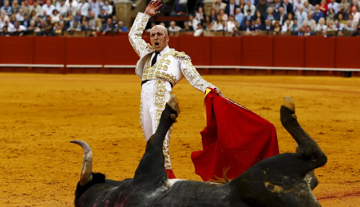 Matador Spanyol, Javier Castano bersorak usai mengalahkan banteng yang menjadi lawannya di ibukota Andalusia, Seville, (17/4).Pertarungan ini merupakan pertunjukan tradisional yang telah lama ada di Spanyol. (REUTERS / Marcelo del Pozo)