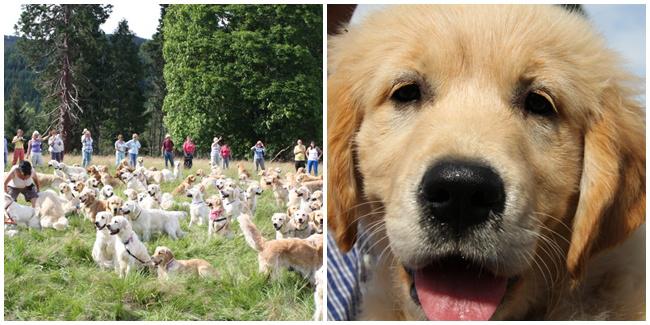 (c)huffingtonpost.com