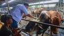 Pemeriksaan juga untuk memastikan daging yang akan dikonsumsi aman, sehat, dan berkualitas tinggi. (merdeka.com/Arie Basuki)
