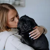 manfaat memelihara anjing di rumah./copyright. pexels/