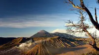 Gunung Semeru atau Gunung Meru adalah sebuah gunung berapi kerucut di Jawa Timur, Indonesia