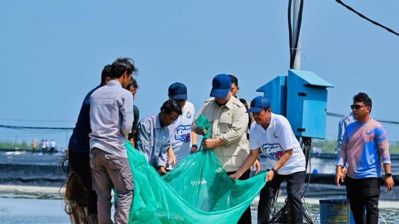 Presiden Prabowo Yakin Potensi Udang Indonesia Mampu Jadi Produsen Global Terkemuka