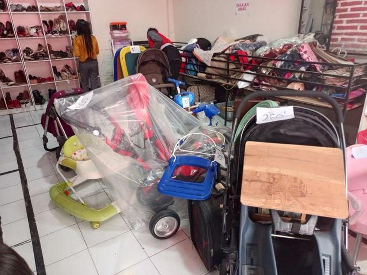 Ini Benda Rumah Tangga yang Diam-diam Jadi Sarang Ular di Rumah Anda