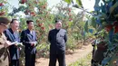 Pemimpin Korea Utara, Kim Jong-Un tersenyum melihat kebun apel yang tampak subur dalam kunjungannya di Kwail County, provinsi Hwanghae Selatan pada foto yang dirilis Kamis (21/9). (STR / KCNA VIS KNS / AFP)
