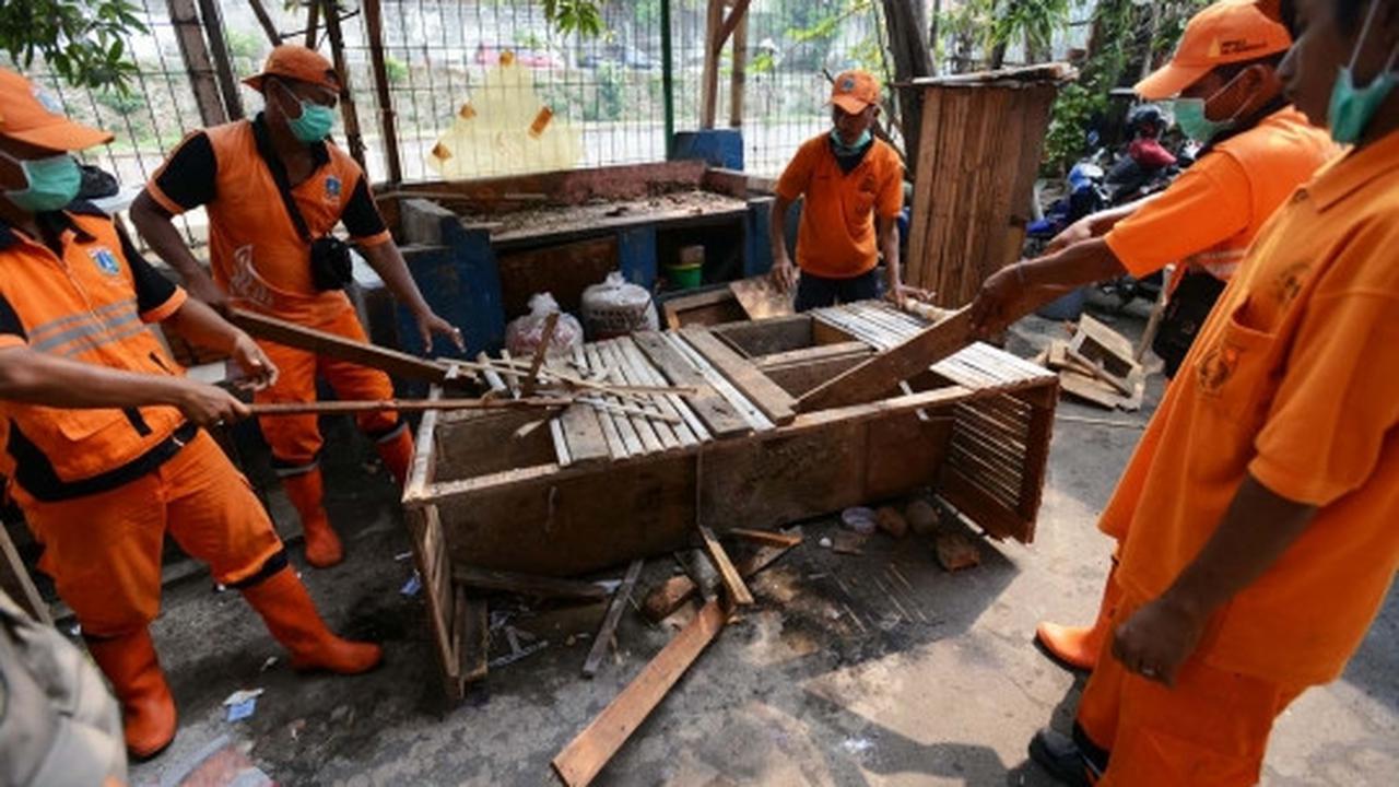 Antisipasi flu burung, kandang unggas di bantaran Ciliwung dibongkar