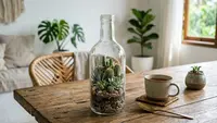 Ide Bottle Garden untuk Ruang Tamu, Ini 3 Jenis yang Mudah Dibuat Sendiri