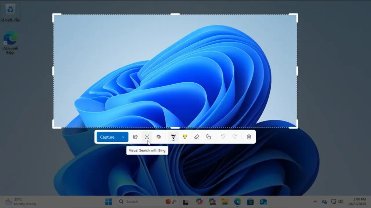 Snipping Tool dengan Pencarian Visual, sudah tersedia di Windows 11. (Doc. Windows Latest)