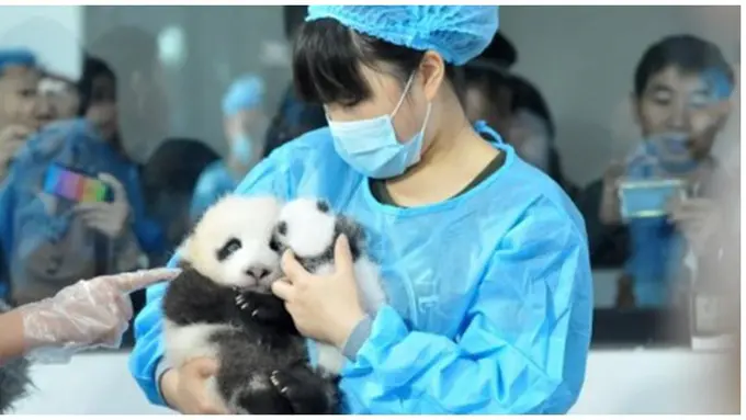 Foto: copyright metro.co.uk.