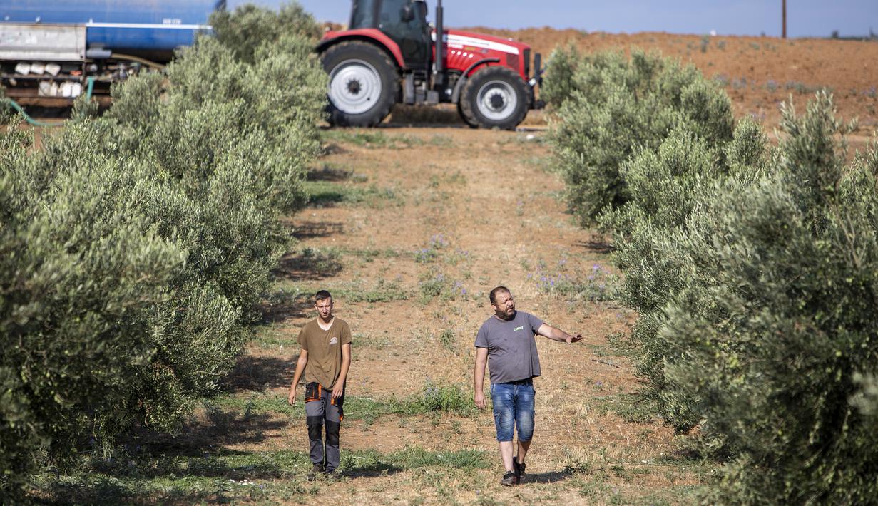 Menurut Layanan Manajemen Darurat Uni Eropa, kondisi kekeringan akut saat ini terjadi di sekitar Laut Hitam, membentang ke arah barat hingga ke utara Yunani. (AP Photo/Giannis Papanikos)