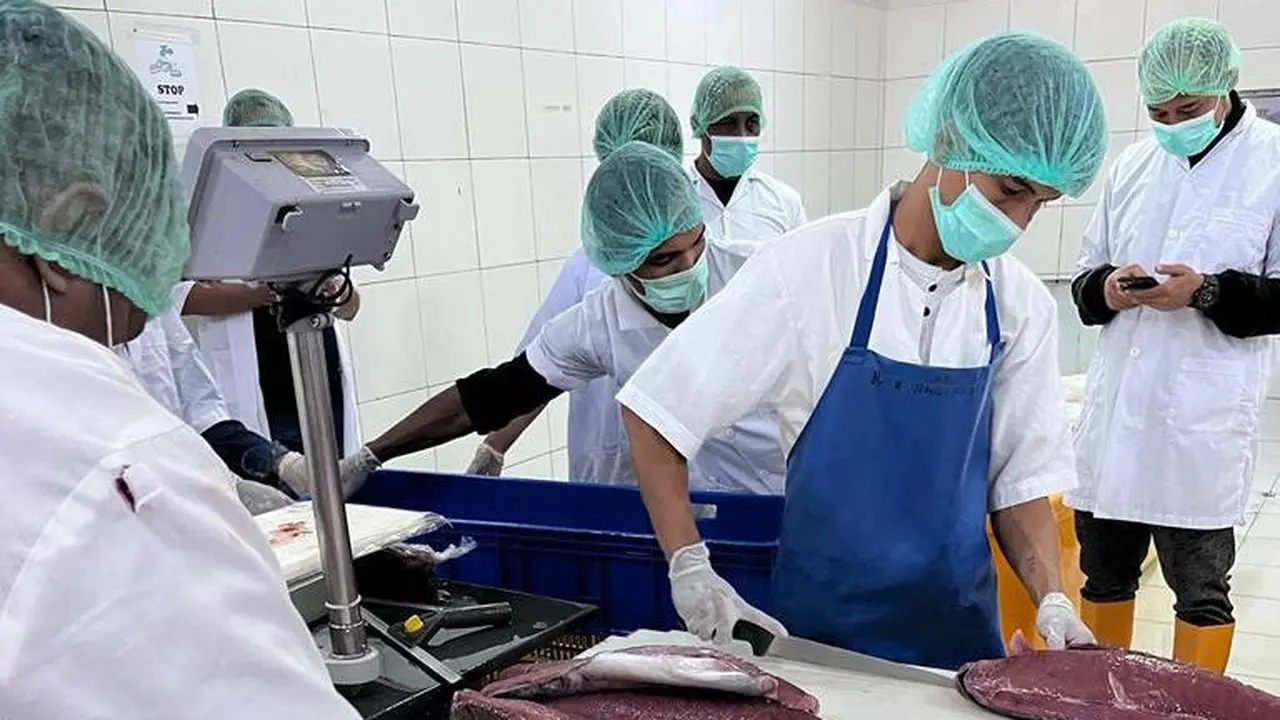 PT Perikanan Indonesia kembali memasok ikan Tuna ke Negeri Sakura, Jepang.