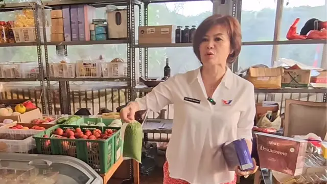 Ci Mehong jadi politisi Perindo.