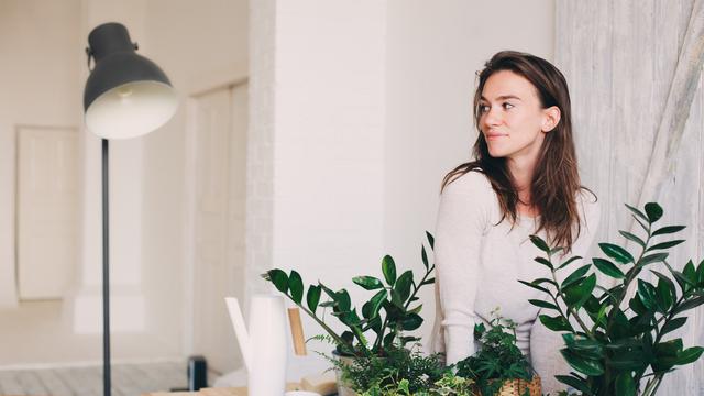 Manfaat Meletakkan Tanaman di Dalam Ruangan