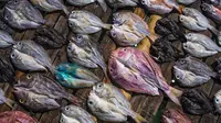 4 Tips Jitu Mengurangi Rasa Asin pada Ikan, Modal 1 Alat Dapur Saja