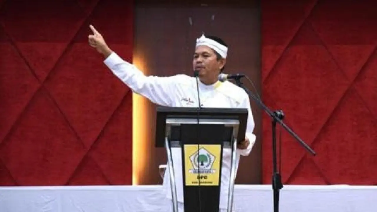 Dedi Mulyadi