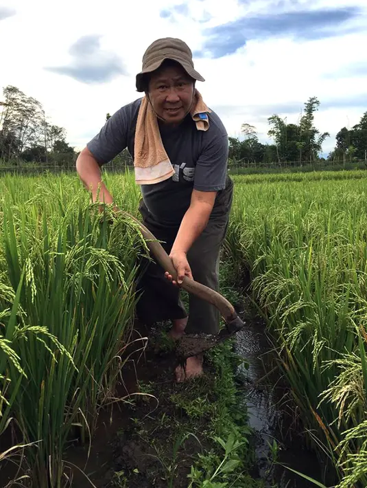 Mantan Jendral Polisi Bintang Tiga, Susno Duadji banyak mengunggah foto yang menggambarkan aktivitasnya sehari-hari, seperti saat menggarap lahan pertanian yang diakui sebagai lahan warisan peninggalan orang tuanya. (www.facebook.com/susno2g)