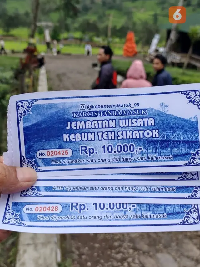 Nikmati Udara Segar di Kebun Teh Sikatok Bersama Sang Kekasih Hati