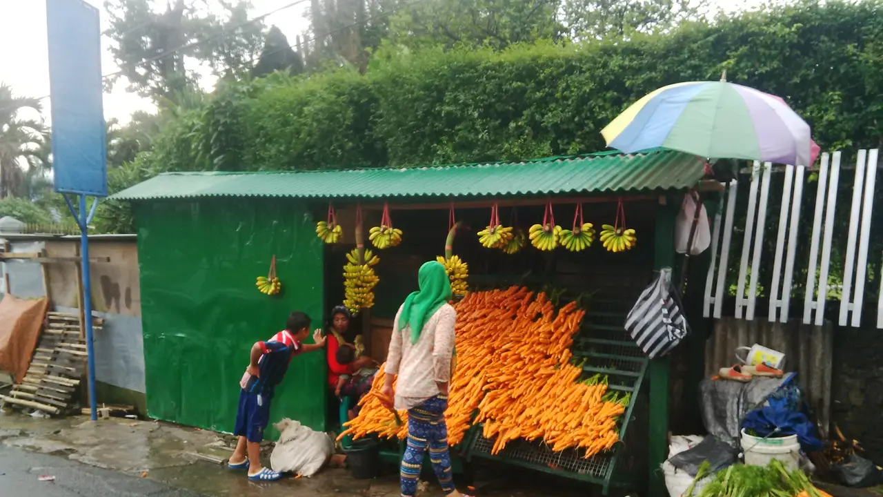 Penjaja wortel dekat Taman Safari. (Liputan6.com/Taman Safari)