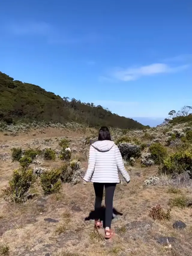 Della Dartyan di Gunung Gede Pangrango