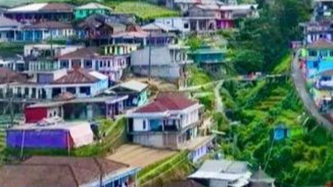 1.	Nepal Van Java Dusun Butuh