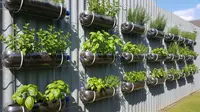 7 Ide Memanfaatkan Botol Air Mineral Bekas untuk Urban Farming yang Praktis dan Hemat Tempat