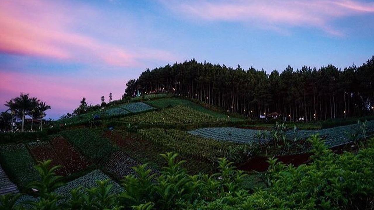 Bukit Moko