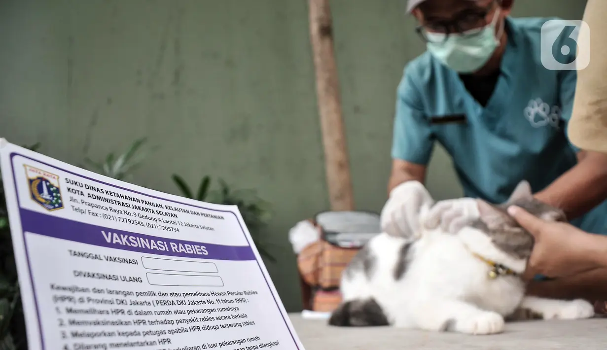 Kartu vaksinasi rabies terlihat saat warga membawa hewan peliharaannya untuk mengikuti vaksinasi rabies gratis dari Sudin KPKP Jakarta Selatan di Taman Pasar Ciplak, Karet, Kuningan, Jakarta, Selasa (30/5/2023). (merdeka.com/Iqbal S. Nugroho)