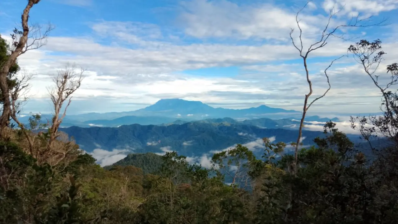 Gunung Mantapok di Sabah