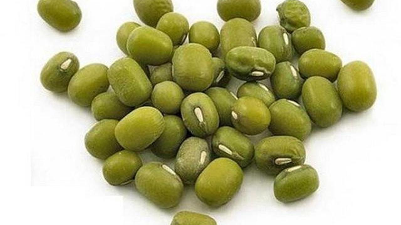 Kacang Hijau (Sumber: tokopedia.com)