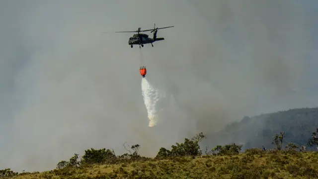 Fenomena El Nino Picu Kebakaran Hutan di Kolombia