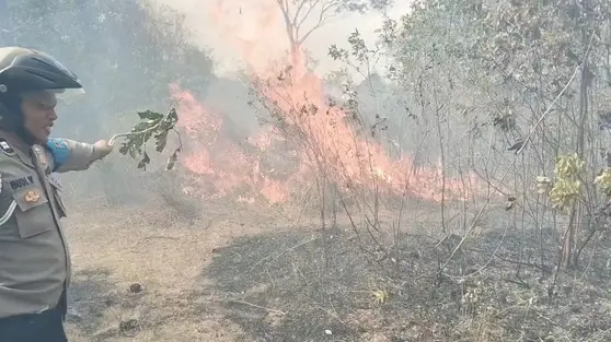 2 Hektare Taman Nasional Way Kambas Terbakar