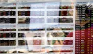 Pekerja mengamati pergerakan Indeks Harga Saham Gabungan (IHSG) di salah satu perusahaan Sekuritas, Jakarta, Rabu (14/11).  Indeks Harga Saham Gabungan (IHSG) berhasil bertahan di zona hijau pada penutupan perdagangan hari ini. (Liputan6.com/Angga Yuniar)