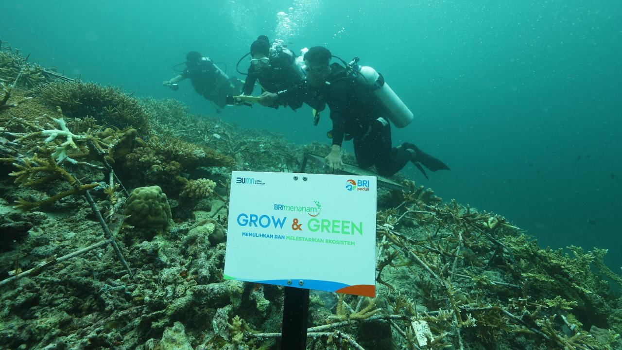 BRI Menanam Grow & Green di Pulau Maratua, Kabupaten Berau, Provinsi Kalimantan Timur