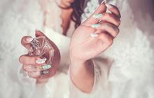 Rahasia Christmas Dinner Makin On Point, Aroma Parfum MAJIKA Pancarkan Aura Feminin yang Menawan