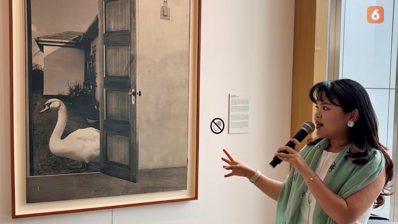 Ireland’s Eye 2025