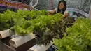 Sebuah stand yang tentang budidaya tanaman hidroponik ikut ambil bagian dalam Agrinex Expo ke-9 yang digelar di JCC, Jakarta, Sabtu (21/3/2015). (Liputan6.com/Johan Tallo)