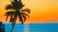 The best places to visit in North Goa. (Photo: Ashutosh Saraswat/Unsplash)